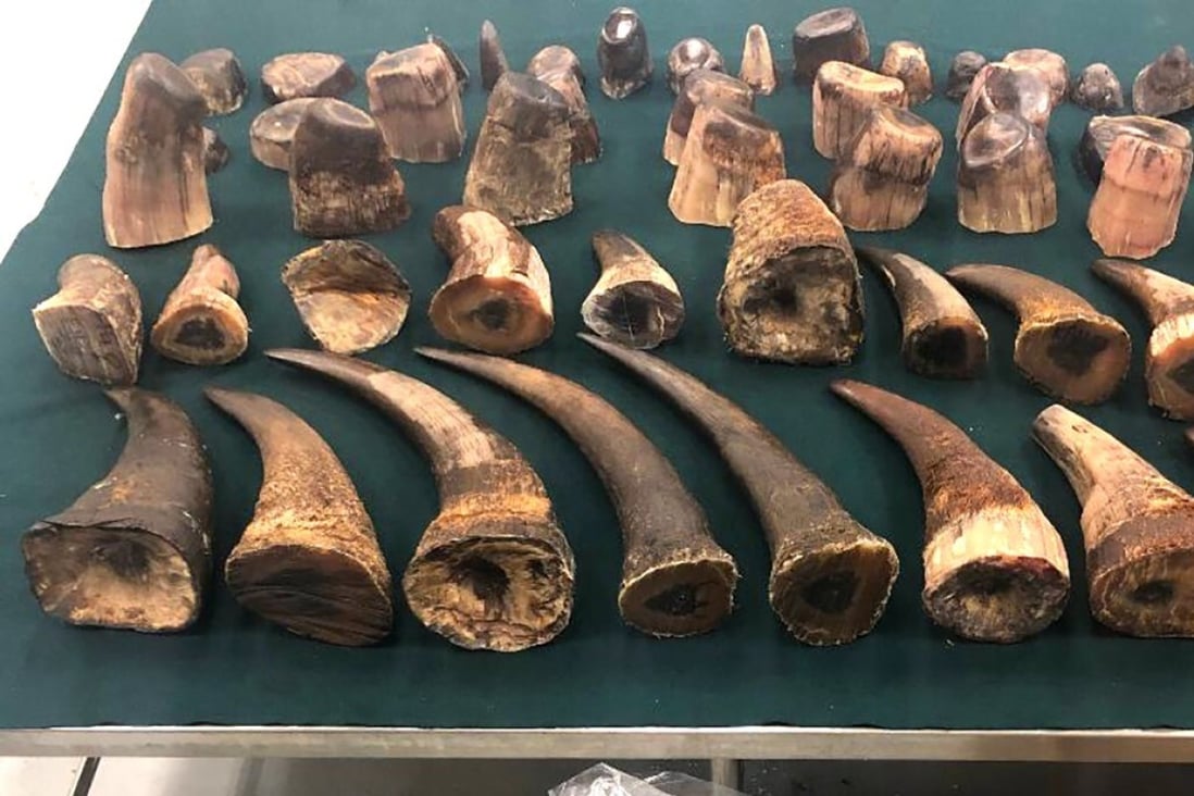 Nearly 83kg of suspected rhino horn and cut pieces, with an estimated market value of about HK$16.5 million, seized by Hong Kong customs officers from transshipment cargo at the city’s airport on April 5, 2019, a record haul of products related to the endangered species. Photo: ISD