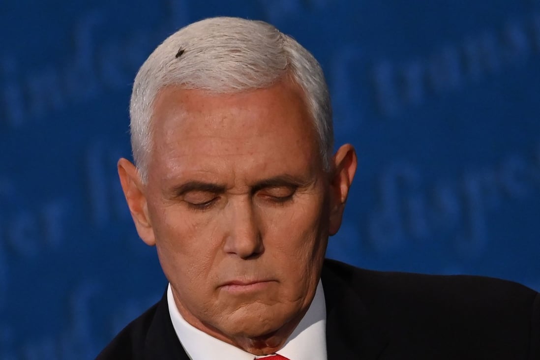 An unexpected guest joined Vic- President Mike Pence on the debate stage Wednesday evening: a pesky fly. Photo: AFP