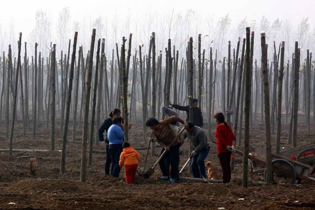 Residents plant trees in an attempt to rejuvenate the soil in Tianying, Anhui province, in 2012. Photo: Reuters