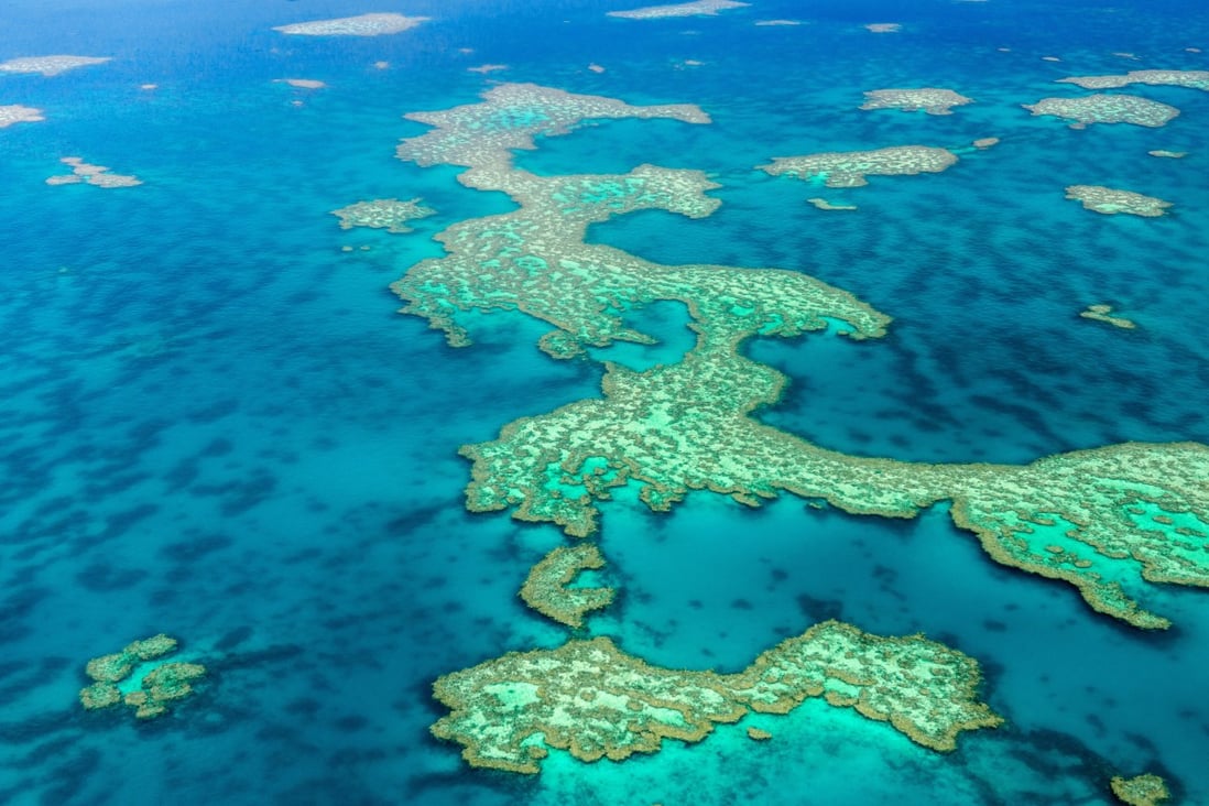 Changes in ocean temperatures stress healthy corals, causing them to expel algae living in their tissues which drains them of their vibrant colours in a process known as bleaching. Photo: Handout