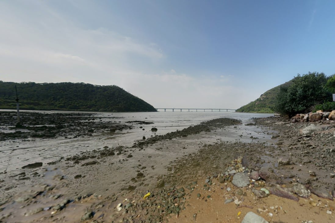 A cage containing the carcasses of two dogs was found washed up on a beach in Lantau Island’s Sham Wat. Photo: Google Map