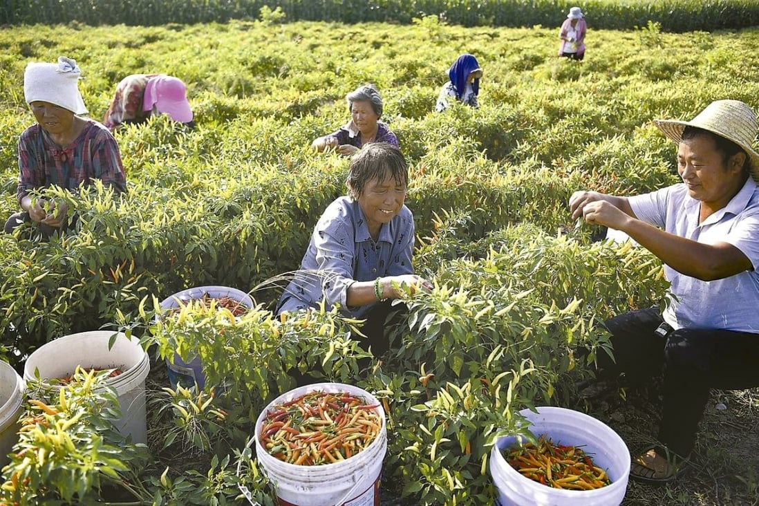 Farmers pick crops in Bozhou, Anhui province. Rural Chinese make and spend at least 40 per cent less than their urban peers. Photo: Weibo