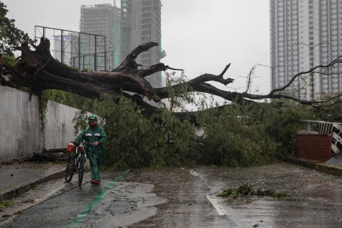 A man walks his bike past a fallen tree after Typhoon Vamco hit Manila. Photo: Reuters