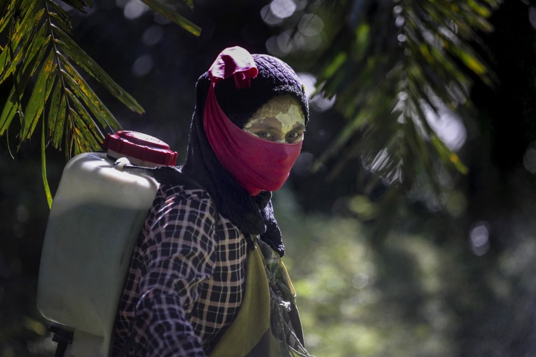 A worker carries a pesticide sprayer on her back at a palm oil plantation in Sumatra, Indonesia in September 2018. Some workers use a yellow paste made of rice powder and a local root as a sunblock. Photo: AP