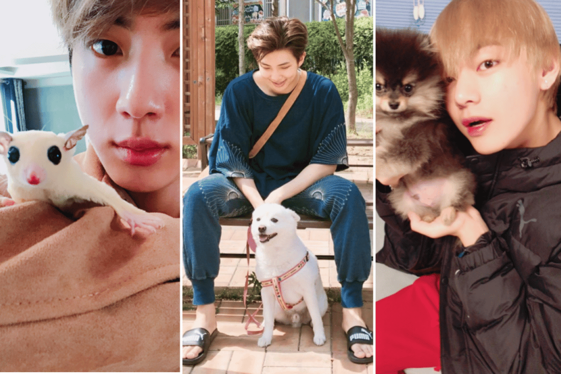 Jin’s sugar glider Gookmool, RM’s spitz Rap Mon, and V’s Pomeranian Yeontan. Photos: @BTS_twt; @RMPICS_twt; @FromCareKorea/Twitter