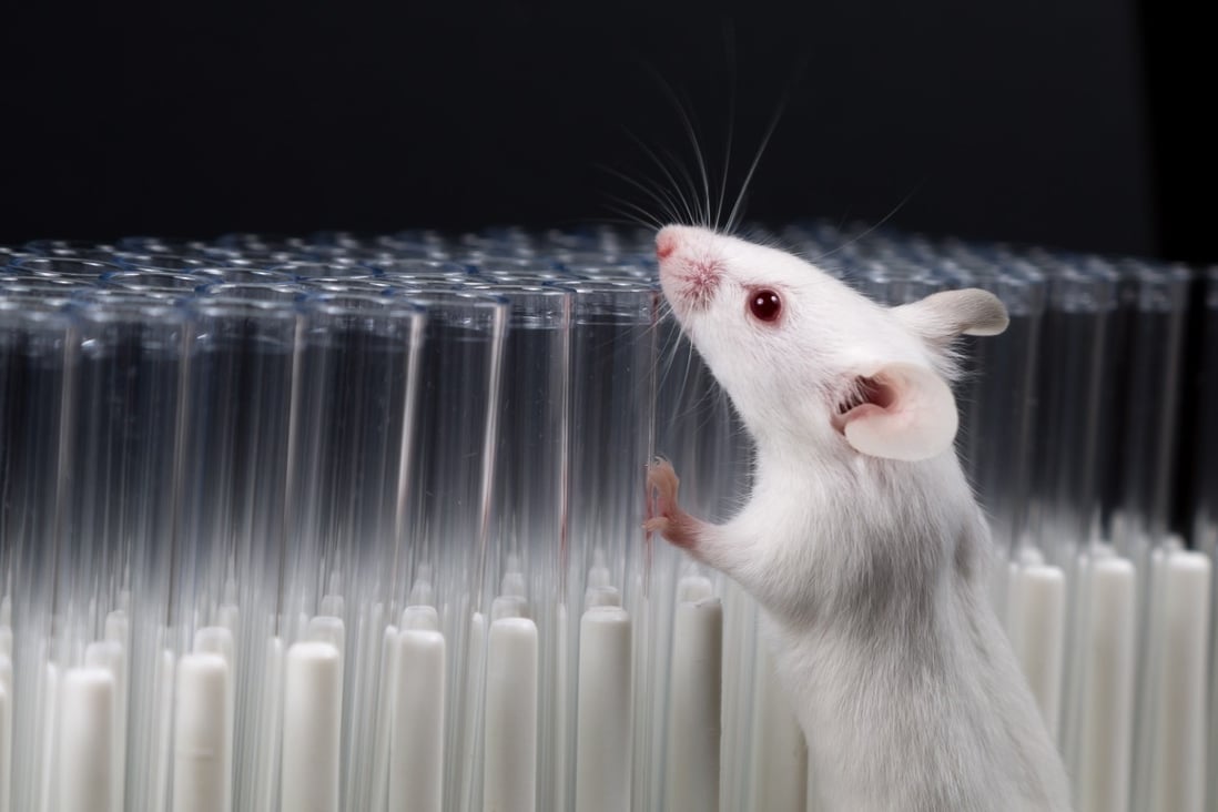 Scientists have restored sight in mice using a treatment that returns cells to a more youthful state and could one day help treat glaucoma and other age-related diseases. Photo: Shutterstock