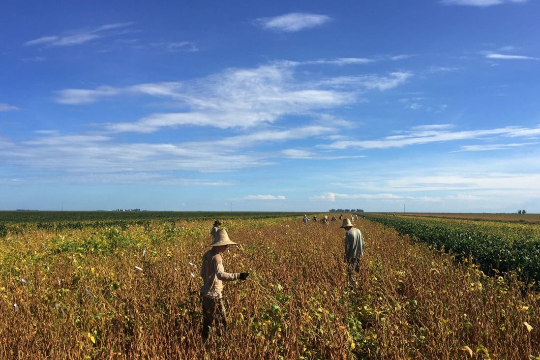 Workers are seen at a soy plantation in a farm in Sao Desiderio, Bahia state, Brazil on March 21, 2018. Photo: Reuters