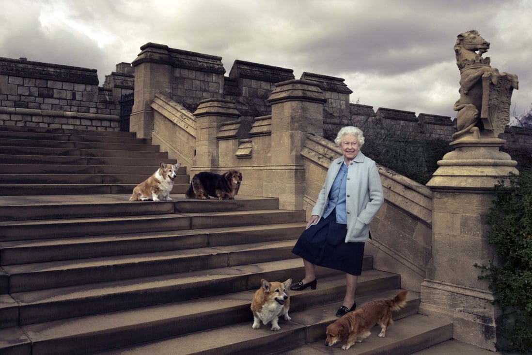 In this official photograph released by Buckingham Palace in 2016 to mark her 90th birthday, Queen Elizabeth is seen in the grounds of Windsor Castle with four of her dogs. Photo: AP