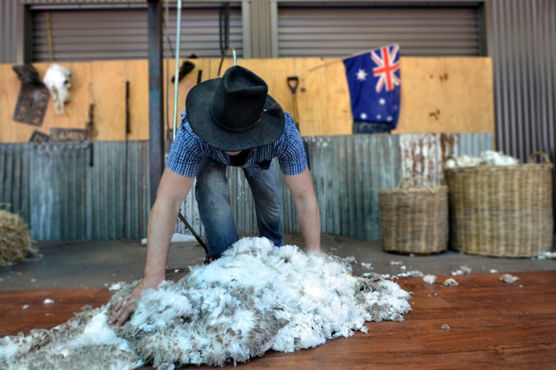 Given that Australian wool exporters have limited alternative markets, and are heavily reliant on China, a researcher said “a substantive barrier would cripple the Australian industry”. Photo: Shutterstock