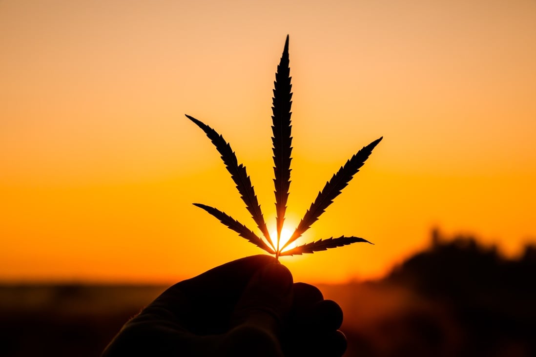 The issue of cannabis legalisation around the world was once again thrust into the spotlight this month. Photo: Getty Images