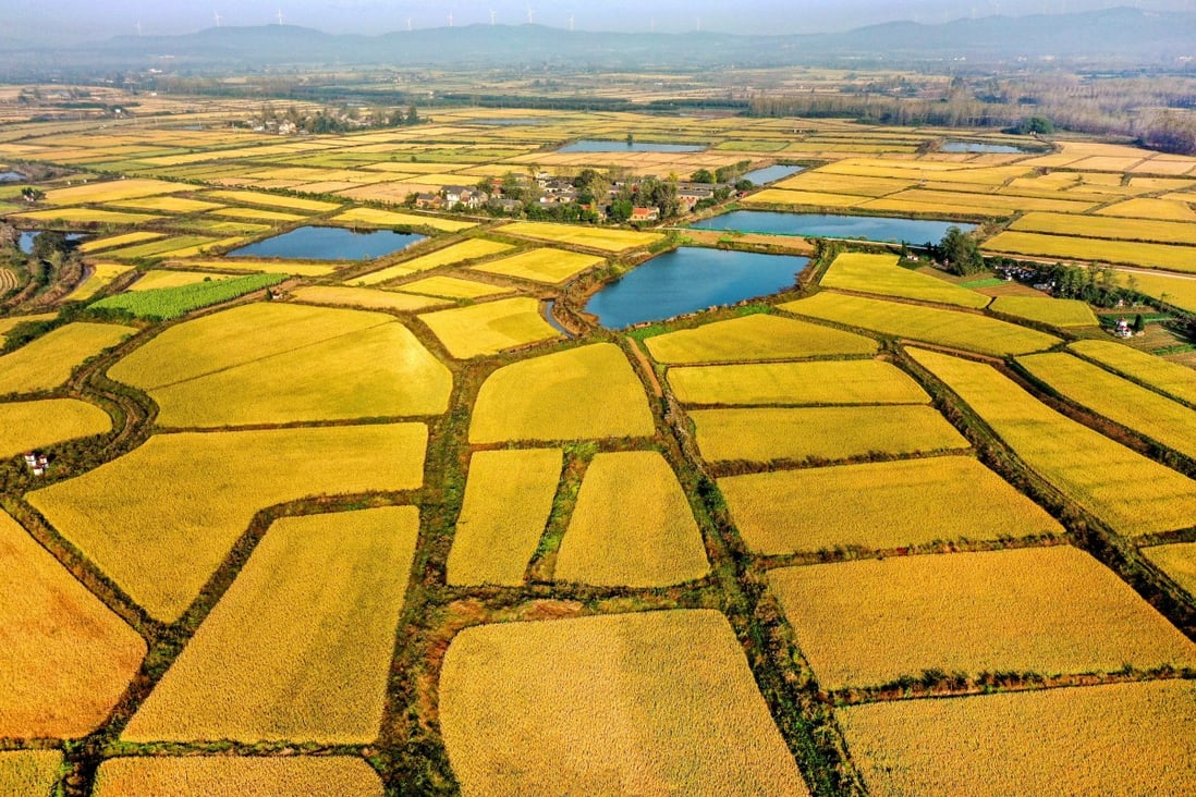 The farmland upgrade is intended to prioritise grain-producing areas. Photo: VCG via Getty Images