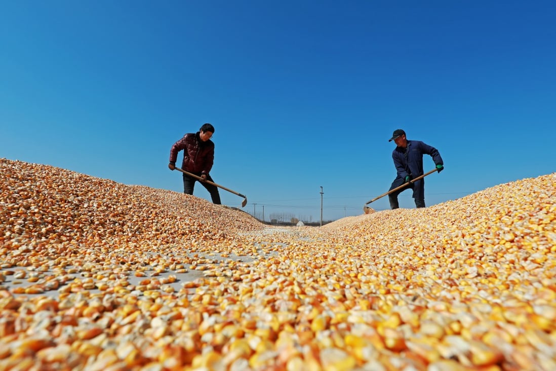 China’s top leaders have signalled a push to improve the nation’s seed industry amid concern over food security. Photo: Shutterstock
