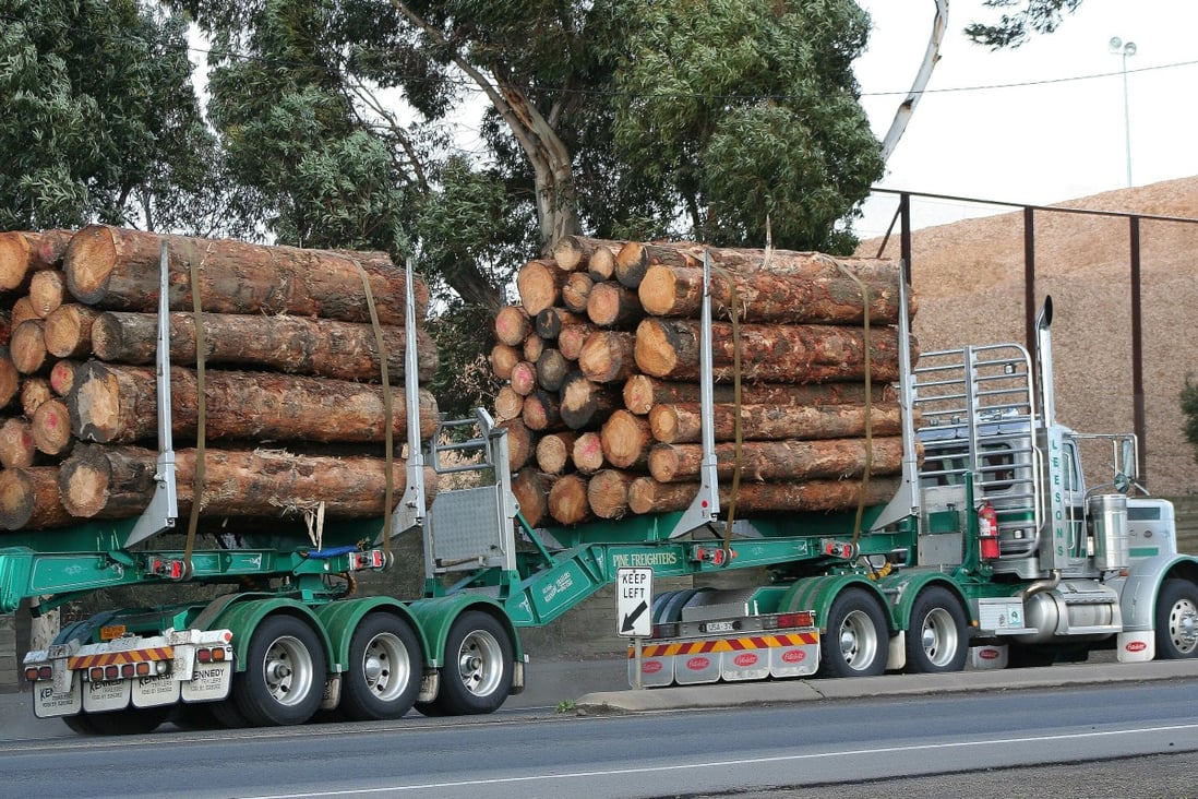 China had already banned timber from Queensland, Victoria, South Australia and Tasmania since late October. Photo: Shutterstock