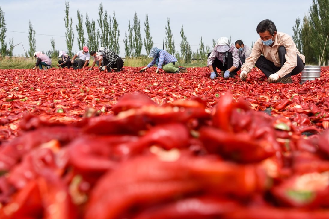 Boosting rural incomes and improving efficiency in the agricultural sector will be priorities for China next year. Photo: Xinhua
