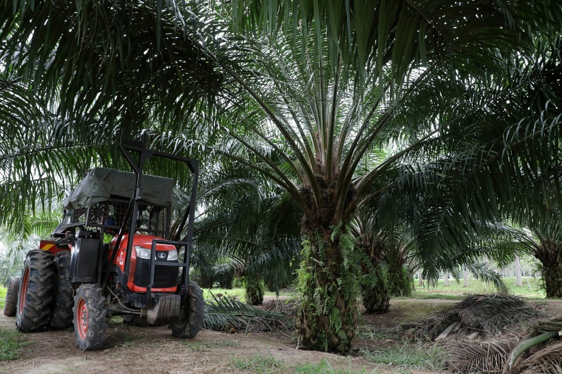 A mini tractor grabber collects palm oil fruits at a plantation in Pulau Carey, Malaysia in January. Photo: Reuters