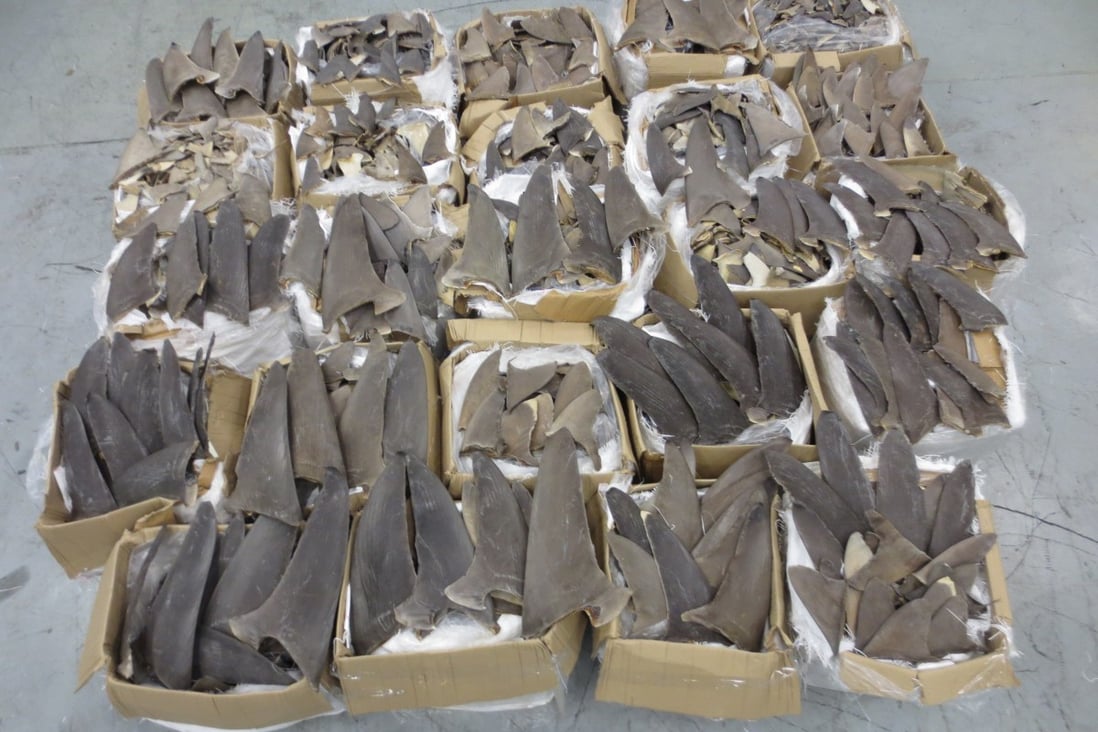 Customs officers also seized more than one tonne of shark fins at the airport. Photo: Handout