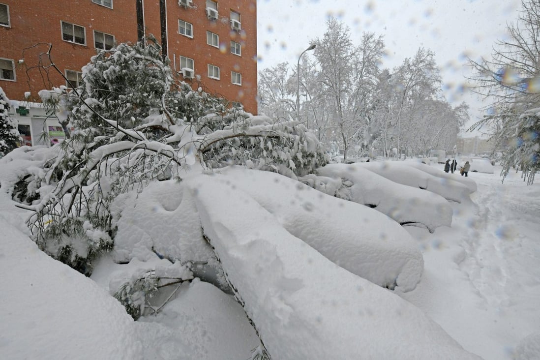 A fallen tree lies on top of parked cars in the aftermath of a heavy snowfall in Madrid, Spain on Saturday. Photo: EPA-EFE