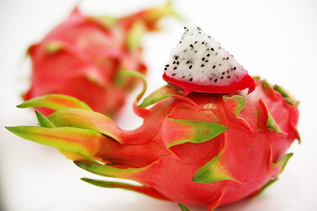 A dragon fruit, which Indian Prime Minister Narendra Modi’s home state of Gujarat wants to rename after the lotus flower. Photo: SCMP