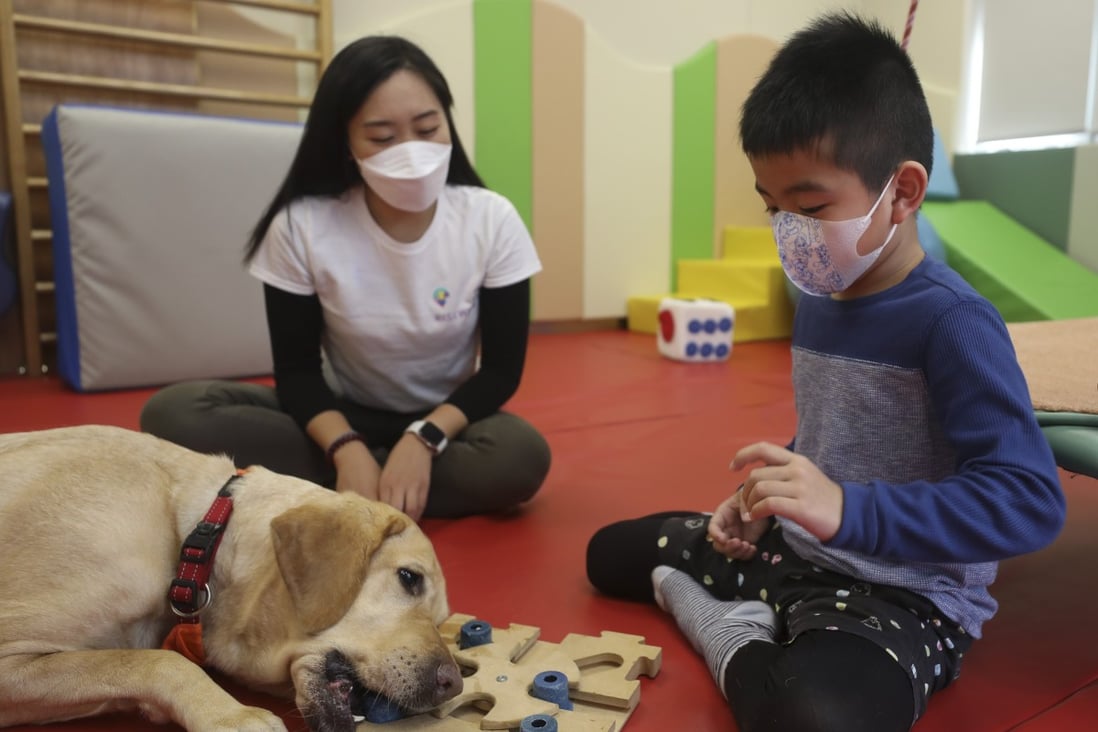 How therapy dogs help with learning disabilities, anxiety and other health  problems, whether you're young or old | South China Morning Post