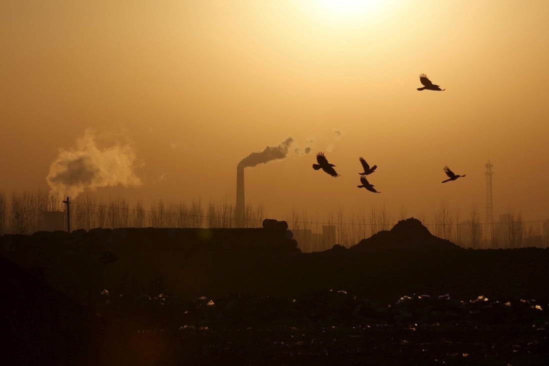 Birds fly over a closed steel factory in Hebei province, China. Photo: Reuters