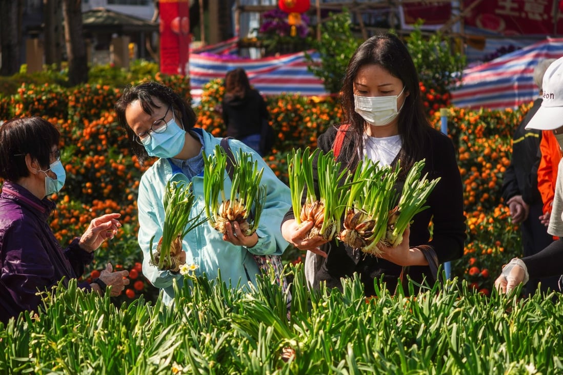 Shoppers take to the flower market in Victoria Park on Sunday. Photo: Sam Tsang