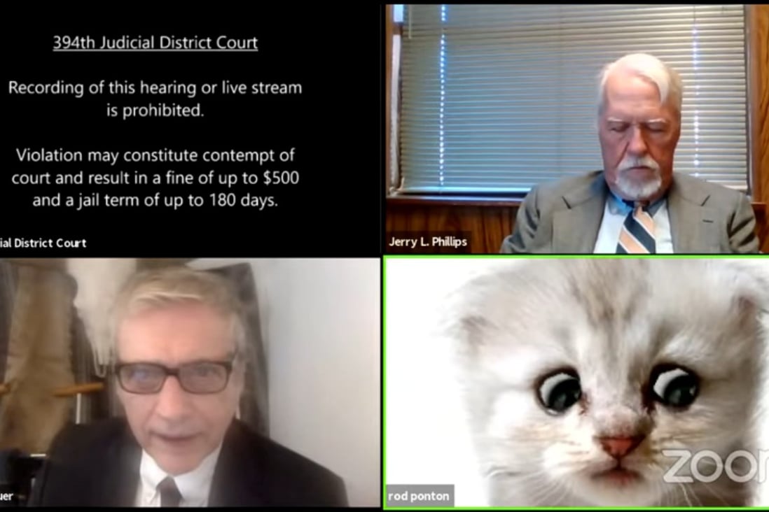Lawyer tells judge 'I'm not a cat' in viral video as he struggles with filter during Zoom court ...
