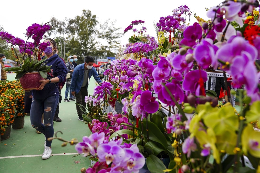 Lunar New Year Scrambling Hong Kong Florists Blame Government Flower Market Flip Flops For Plummeting Sales South China Morning Post