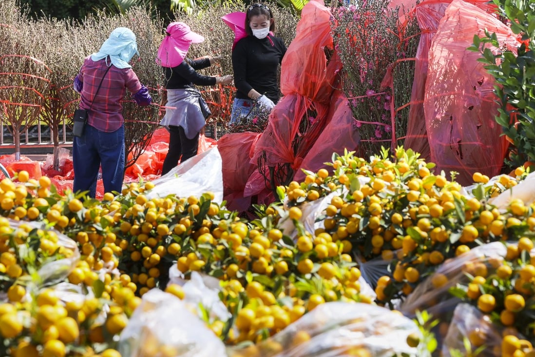 Vendors prepare for the Lunar New Year flower market at Fa Hui Park, Prince Edward. Photo: Dickson Lee