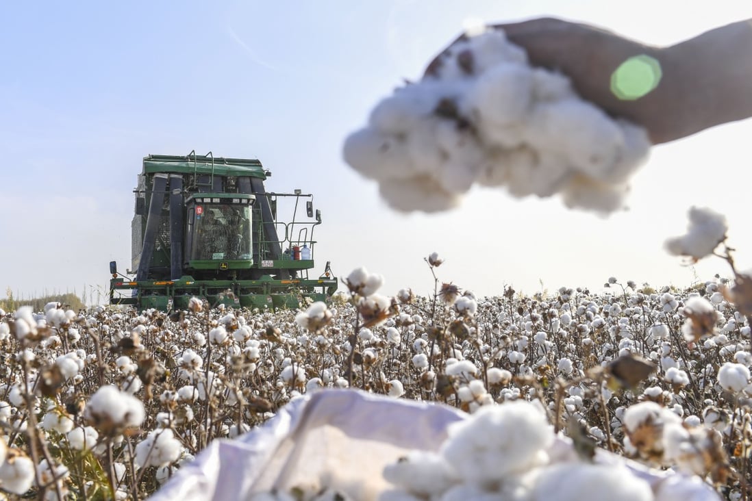 Serai, an HSBC unit, has launched a solution to help buyers and suppliers prove the origin of cotton and other materials amid intensified scrutiny by the US. Photo: Xinhua