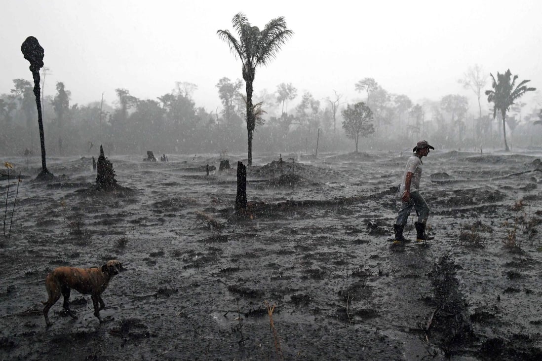 A farmer and a dog walk through a burnt area of the Amazon rainforest, near Porto Velho, Rondonia state, Brazil, in August 2019. Deforestation in the Brazilian Amazon has hit alarming levels. Photo: AFP