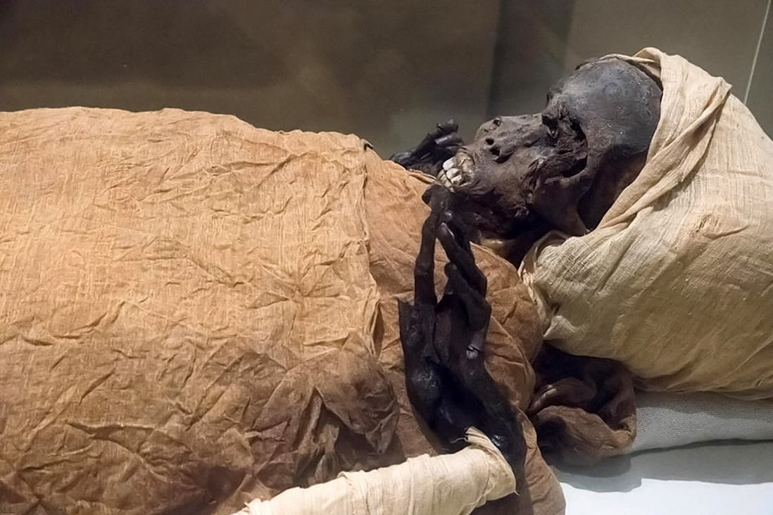 The mummy of pharaoh Seqenenre Tao II, who led the Egyptian troops against the Hyksos invaders. Photo: Egyptian Ministry of Antiquities via AFP