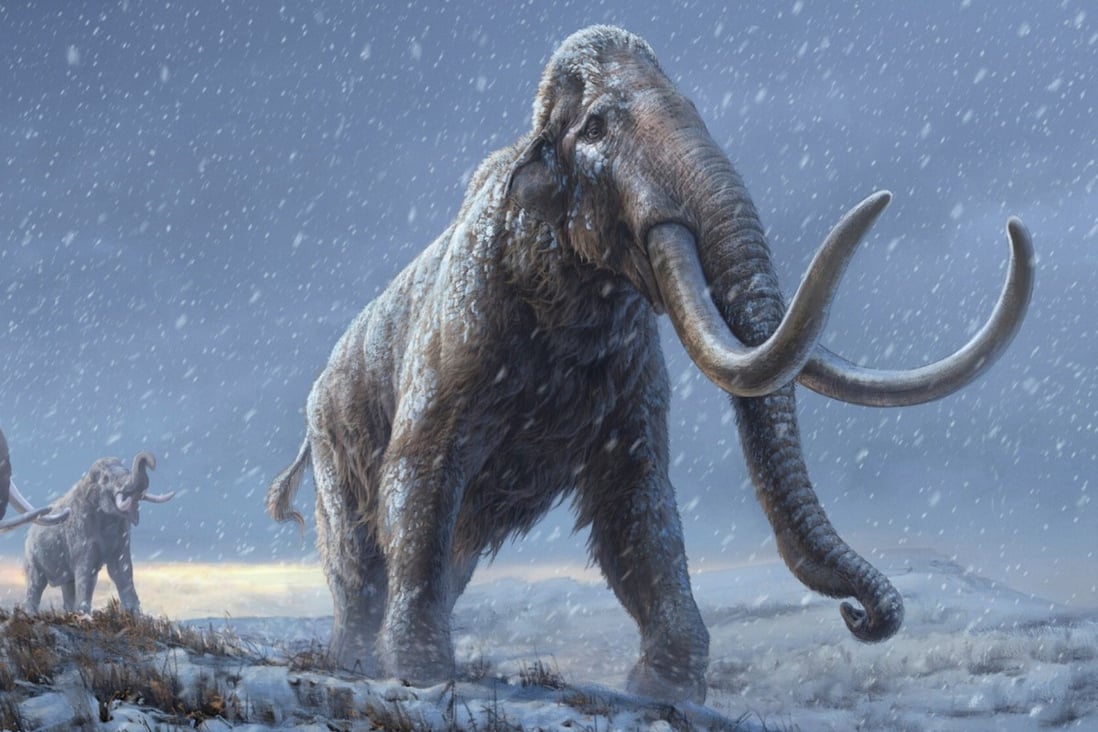 An artist's reconstruction shows the extinct steppe mammoth, an evolutionary predecessor to the woolly mammoth that flourished during the last Ice Age. Photo: Reuters