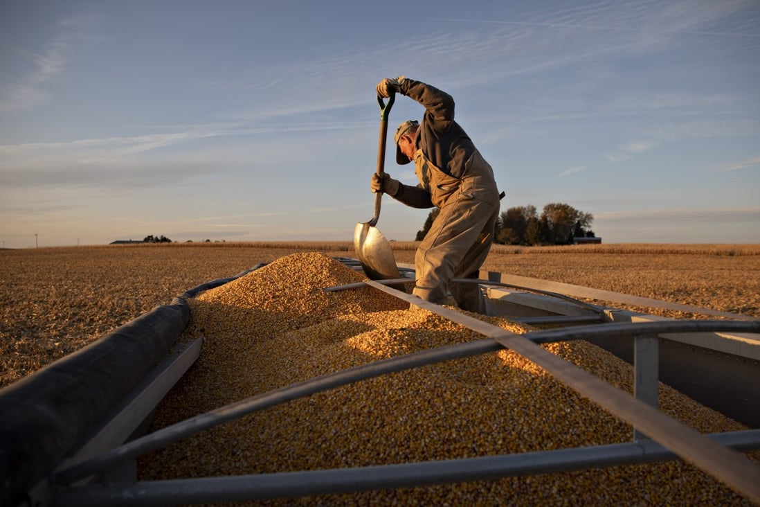 A farmer shovels corn during a harvest in Illinois in November 2019. Photo: Bloomberg
