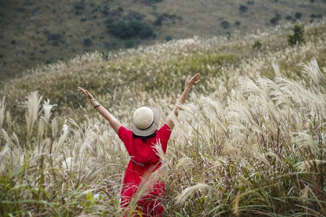 A woman poses for a photograph amid a sea of silver grass at Sunset Peak, Lantau, in November 2020. Financial Secretary Paul Chan wrote on his blog with reference to the upcoming budget: “No matter if it’s just a small blade of grass or a tall tree, they both start from a tiny seed – but one that keeps its infinite vitality hidden.” Photo: Winson Wong