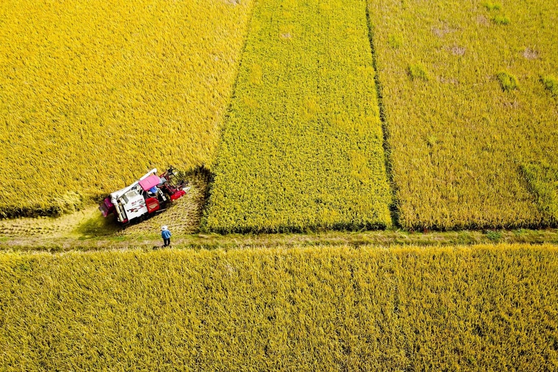 In 2020, China produced 669.5 million tonnes of food, up 5.65 million tonnes from the previous year. Photo: Xinhua