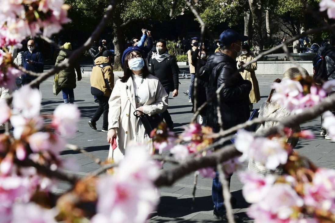 Tokyo residents wearing face masks take in the sights of cherry blossoms at Ueno Park. Photo: Kyodo
