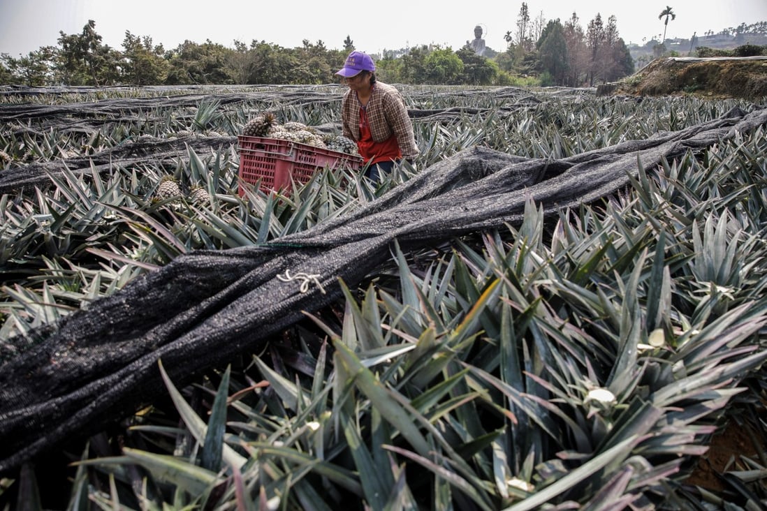 Some players in the Taiwanese fruit industry are sceptical of the Beijing offers. Photo: Bloomberg
