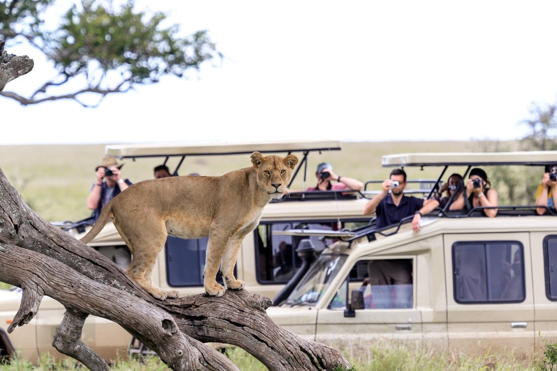The loss of safari tourism during the coronavirus pandemic has been significant for African economies. Photo: Shutterstock