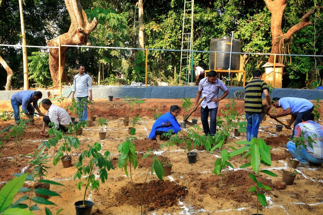 The early stages of planting a forest in Kerala. Photo: Handout