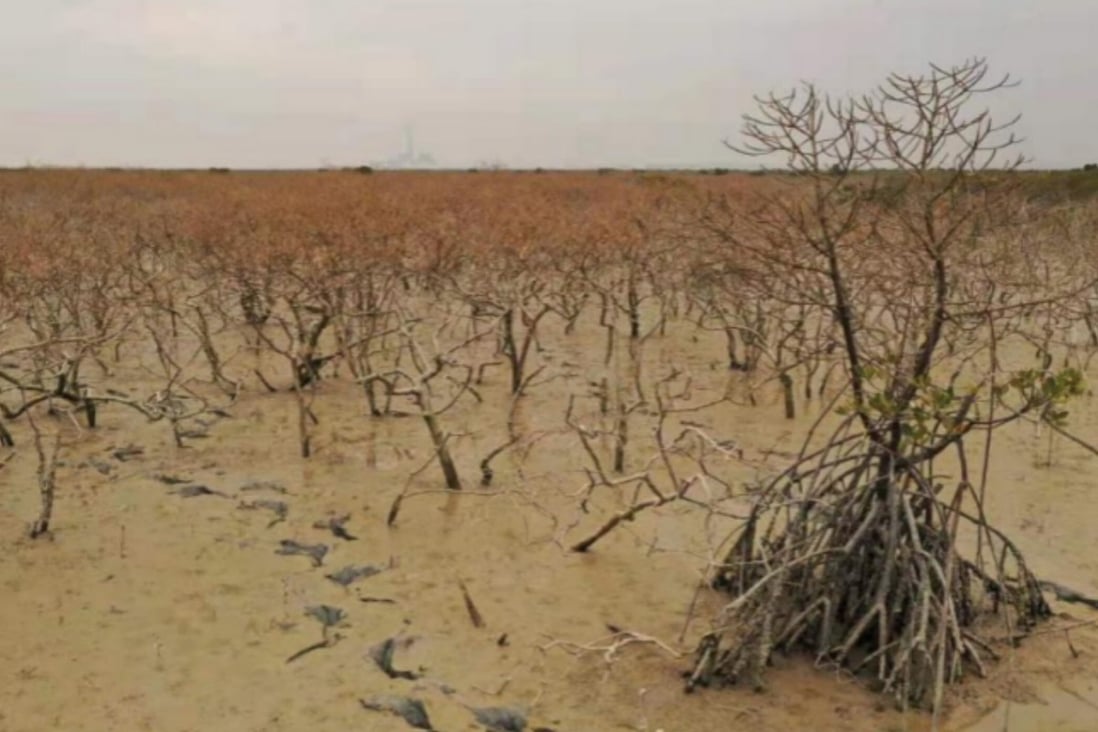 Chinese destruction Chinese destruction