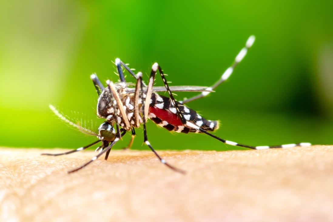 China has become the 40th country to be certified malaria-free by the World Health Organization. Photo: Shutterstock
