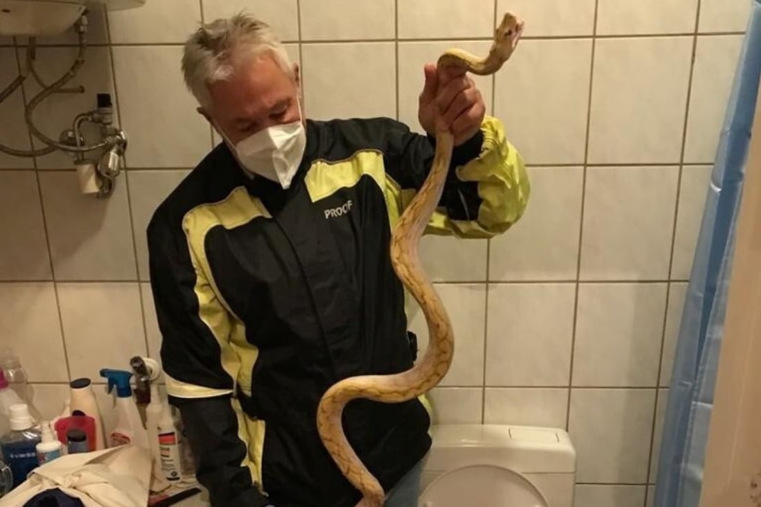Austrian man on toilet bitten by neighbour’s python | South China ...