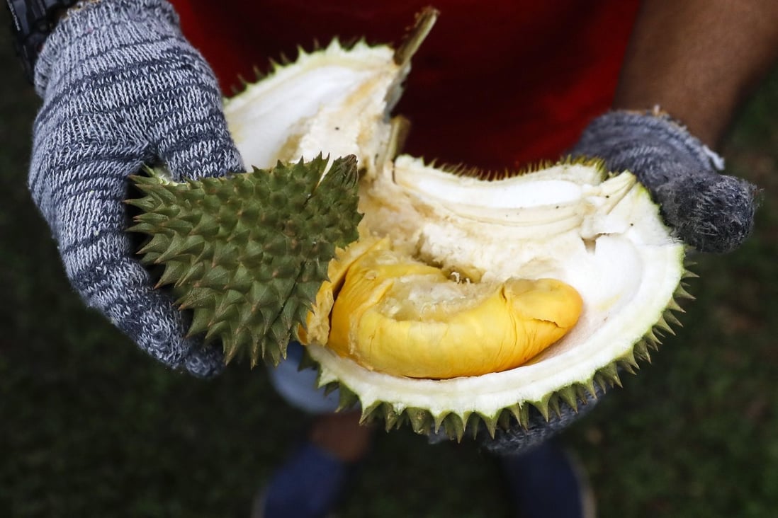A Malaysian durian seller shows off the golden yellow fruit. Photo: EPA