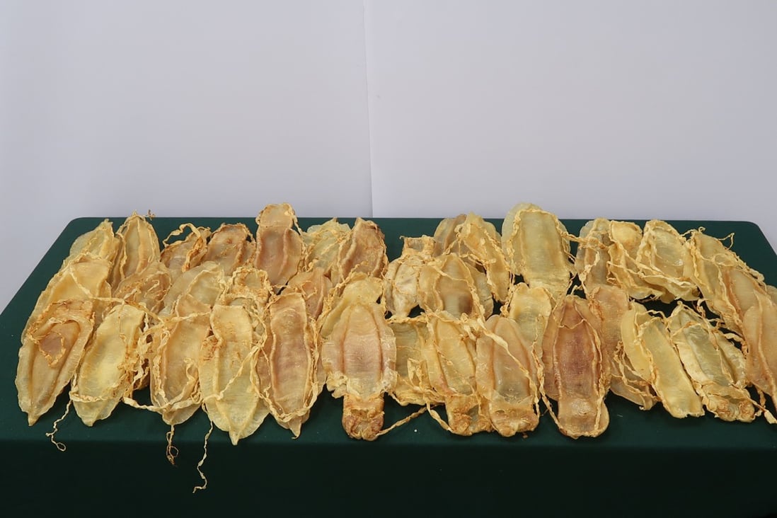 The dried bladders were taken from 39 totoaba, considered to be among the most endangered species on the planet. Photo: Handout