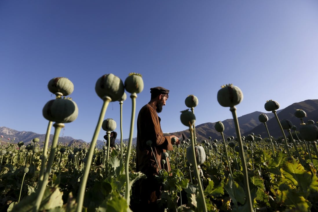 Afghanistan remains the world’s biggest illicit opiate supplier. File photo: Reuters