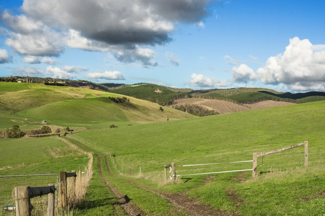 Chinese investors had the largest foreign holding of Australian farmland as of June last year and accounted for 2.4 per cent or 9.2 million hectares. Photo: Shutterstock Images