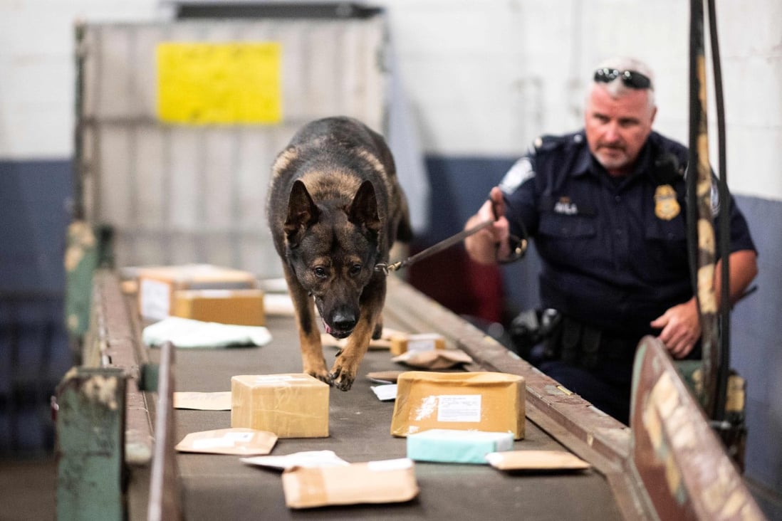 An officer from Customs and Border Protection working with a dog to check parcels for fentanyl at John F Kennedy Airport in New York in 2019. Photo: AFP