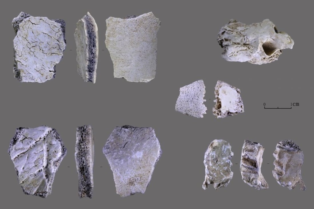 A 32,000yearold skull discovered in central China is oldest known