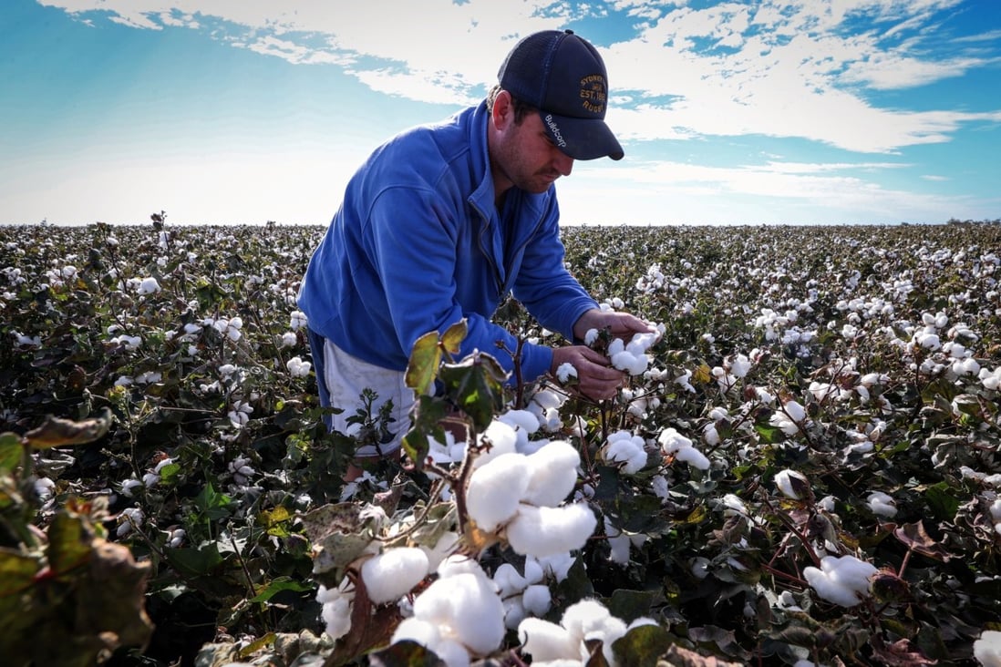 China stepped up imports of Australian cotton and copper this year, despite imposing an unofficial ban on the products last November. Photo: Bloomberg