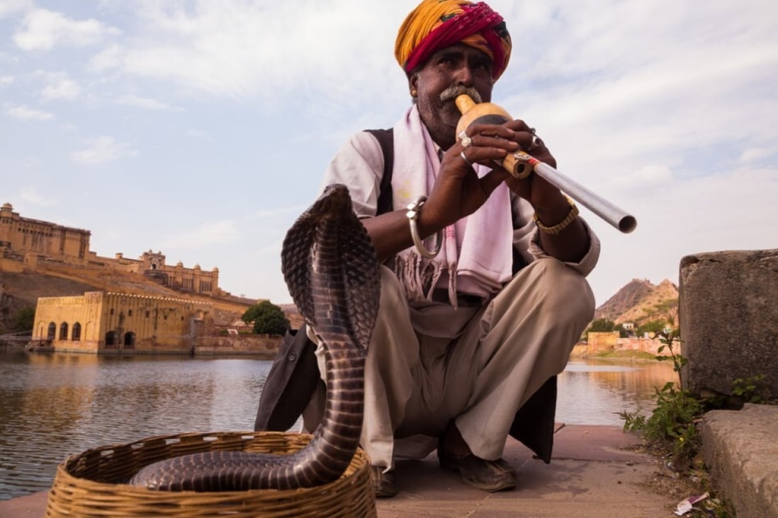 In recent murder cases killers have bought snakes from charmers to use on their victims. File photo